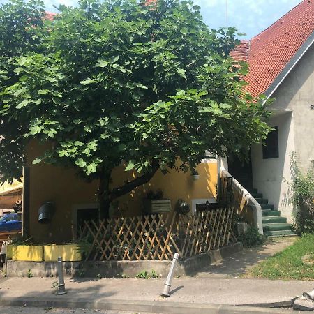 Apartment Tkalca ザグレブ エクステリア 写真