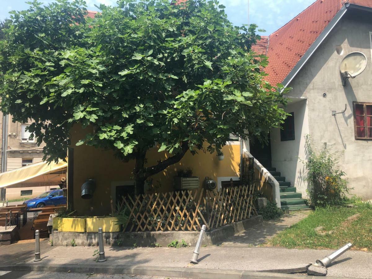 Apartment Tkalca ザグレブ エクステリア 写真